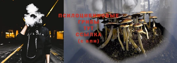 наркотики Горнозаводск