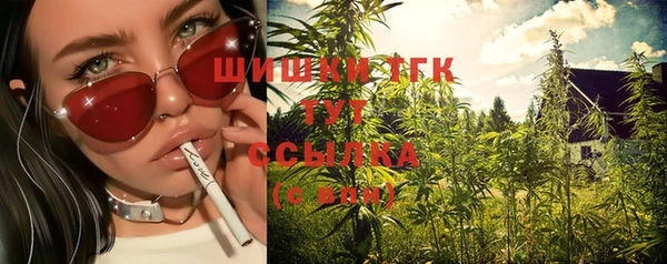 соль ск Горняк