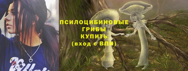 соль ск Горняк