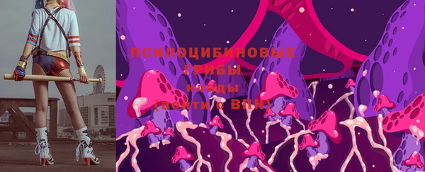 соль ск Горняк